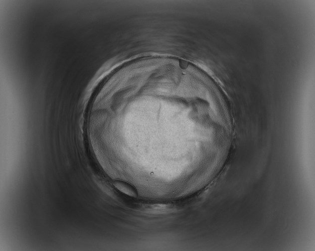 X0000086000151200704131813