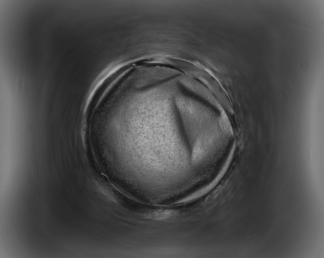 X0000086000152200704131813