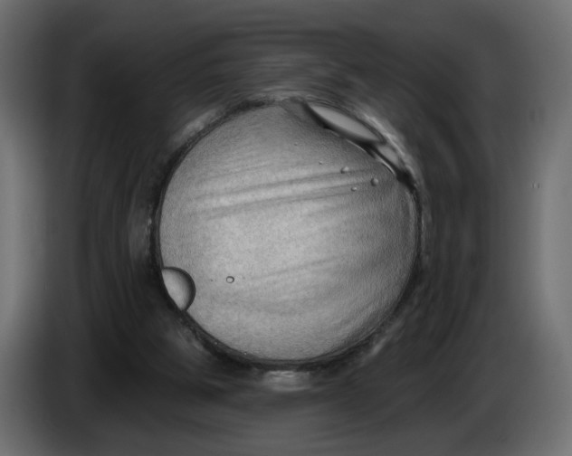 X0000086000153200704131813