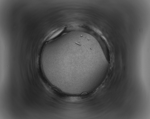 X0000086000154200704131813