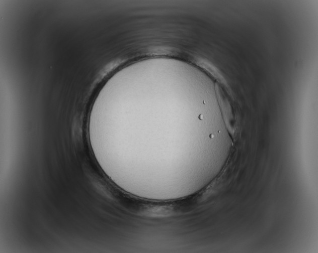 X0000086000155200704131813