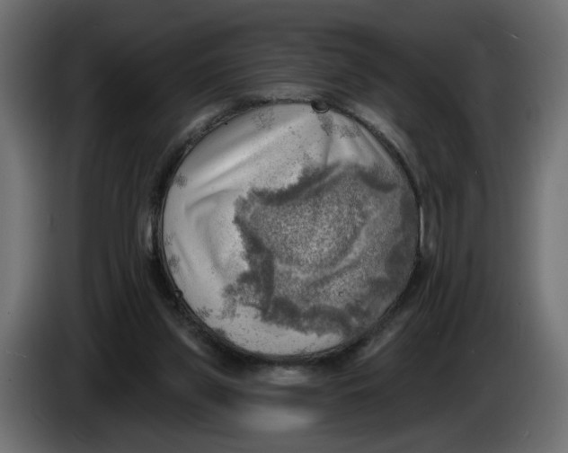 X0000086000157200704131813