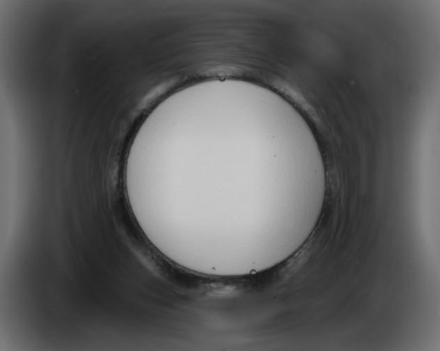 X0000086000159200704131813