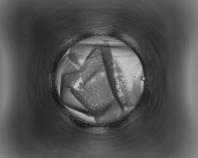 X0000086000161200704131813