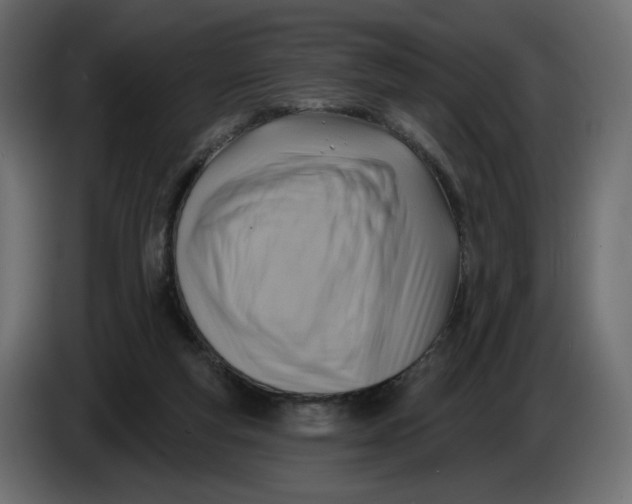 X0000086000163200704131813