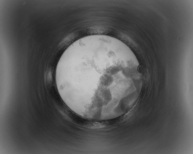 X0000086000166200704131813