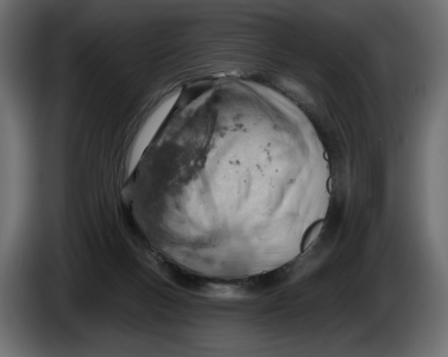 X0000086000167200704131813