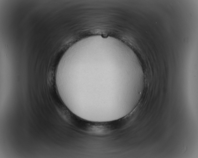 X0000086000171200704131813