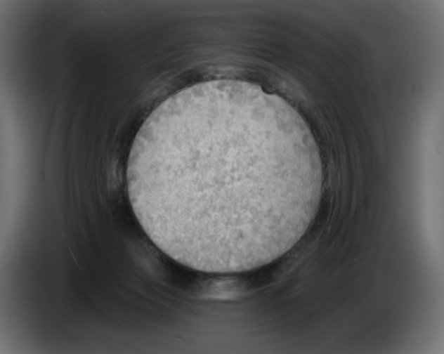 X0000086000173200704131813