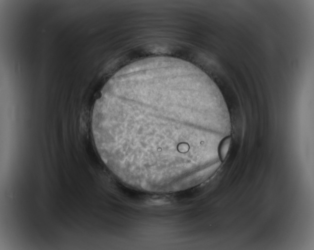 X0000086000175200704131813