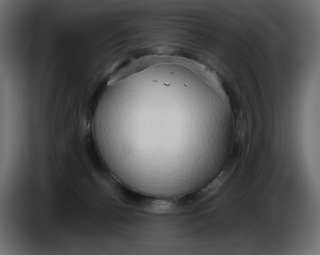 X0000086000176200704131813