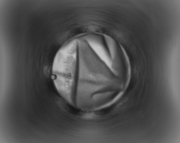 X0000086000177200704131813