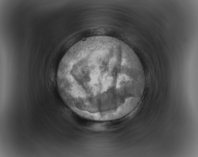 X0000086000178200704131813