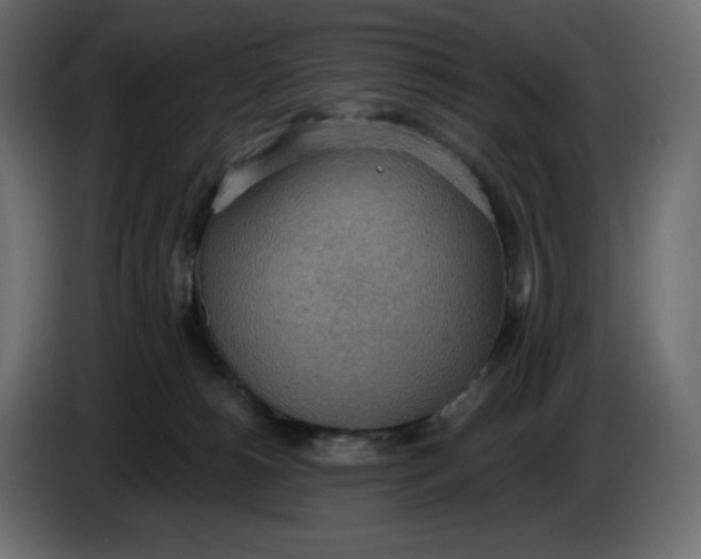 X0000086000180200704131813