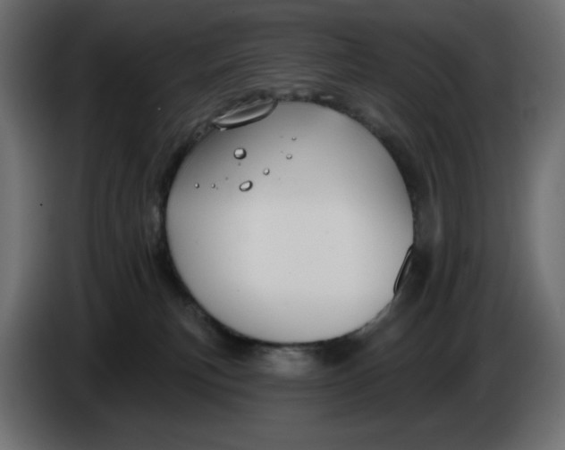 X0000086000183200704131813