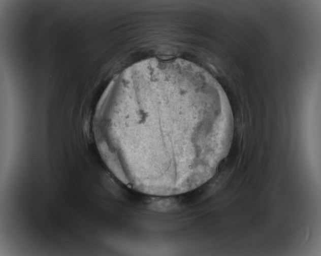 X0000086000185200704131813