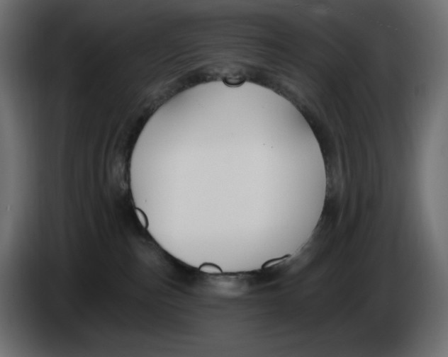 X0000086000187200704131813