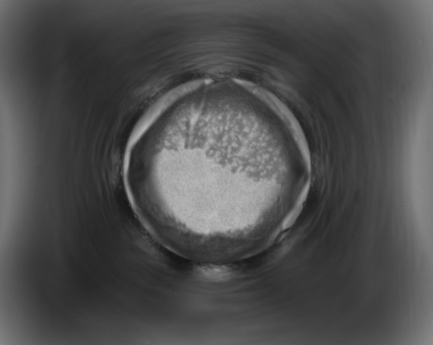 X0000086000189200704131813