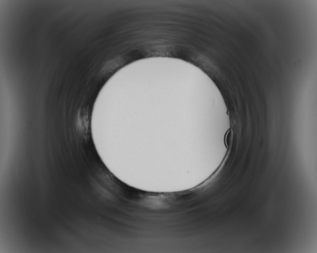 X0000086000190200704131813