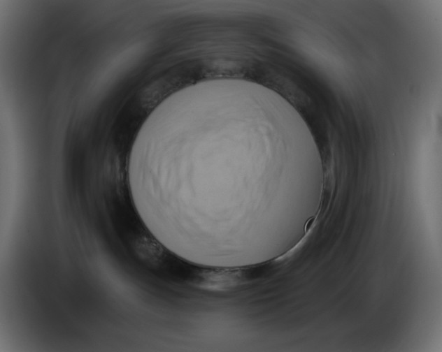 X0000086000191200704131813