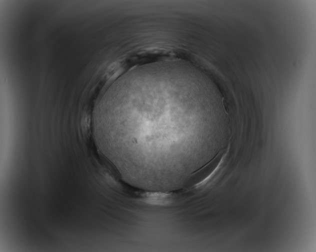 X0000086000192200704131813