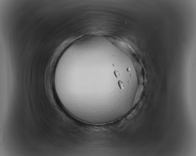 X0000086000193200704131813