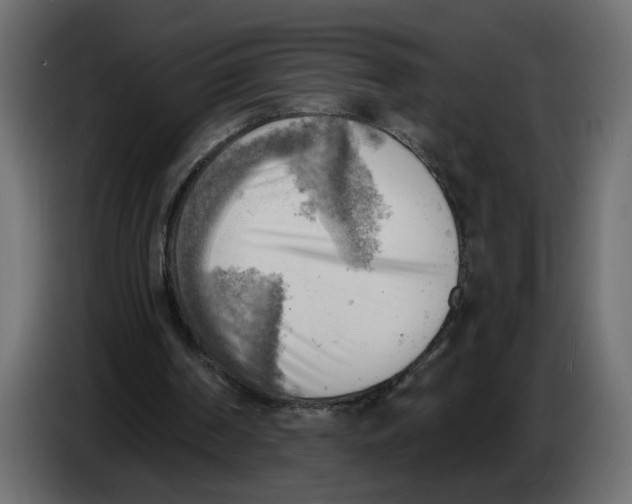 X0000086000194200704131813