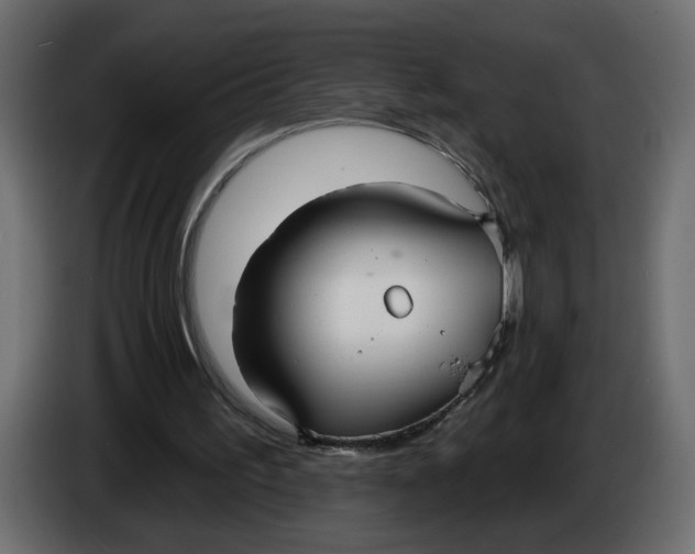 X0000086000195200704131812