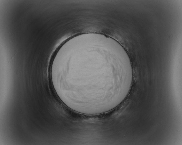 X0000086000196200704131812