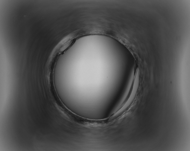 X0000086000197200704131812