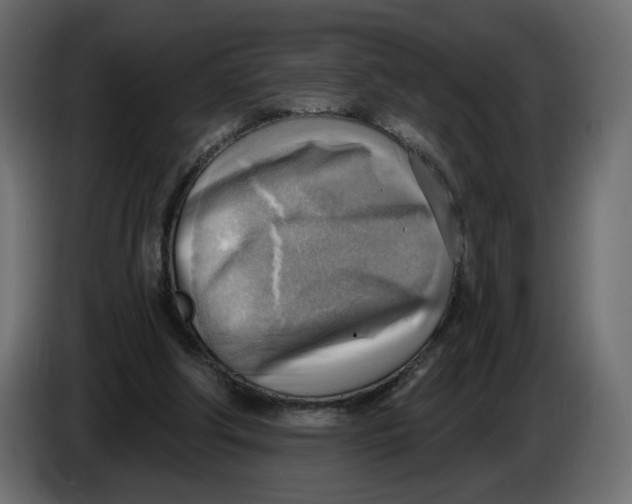 X0000086000202200704131812