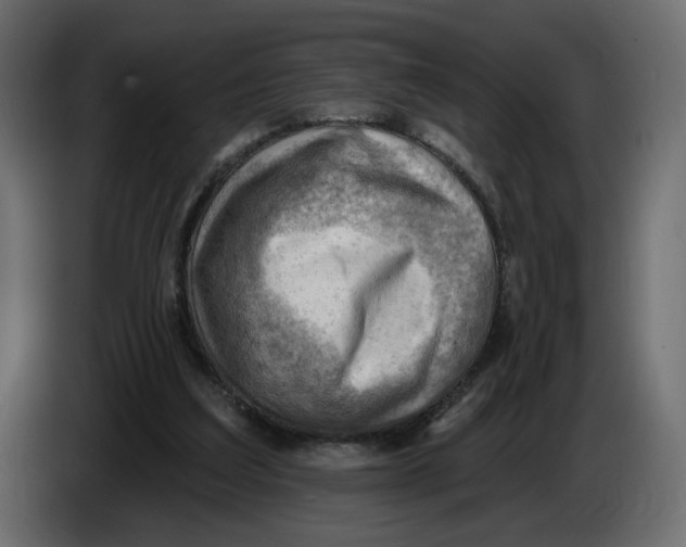 X0000086000203200704131812