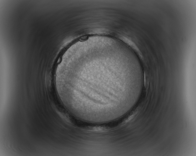 X0000086000204200704131812