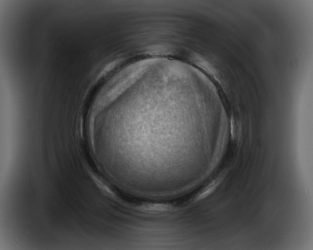 X0000086000205200704131812