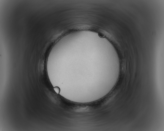 X0000086000206200704131812