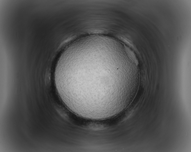 X0000086000207200704131812