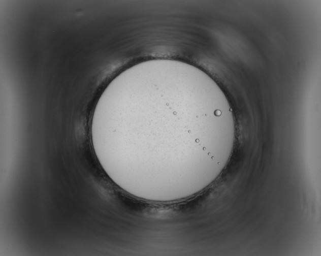 X0000086000208200704131812