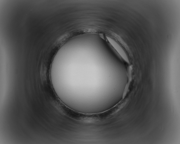 X0000086000209200704131812