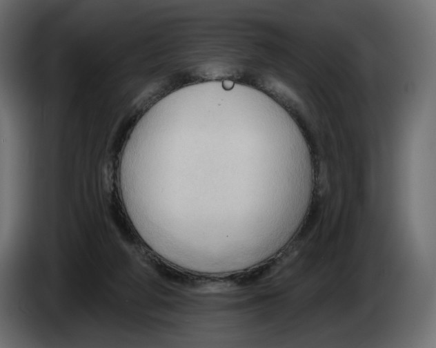 X0000086000210200704131812