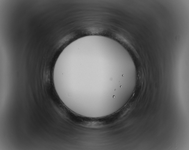 X0000086000212200704131812