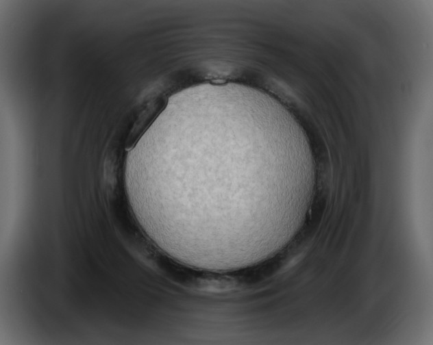 X0000086000215200704131812