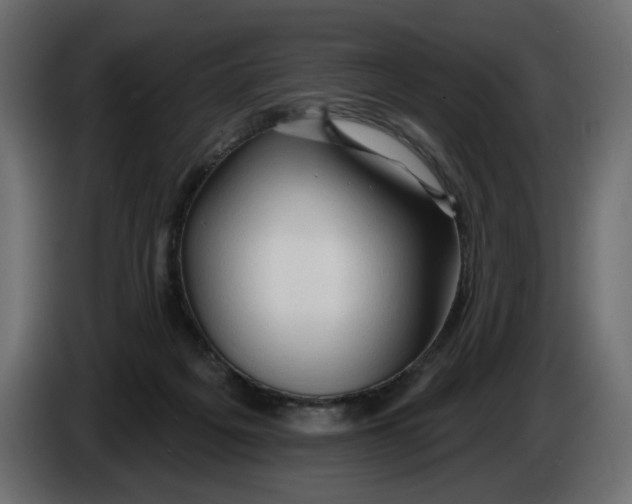 X0000086000217200704131812