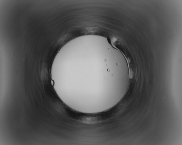 X0000086000220200704131812