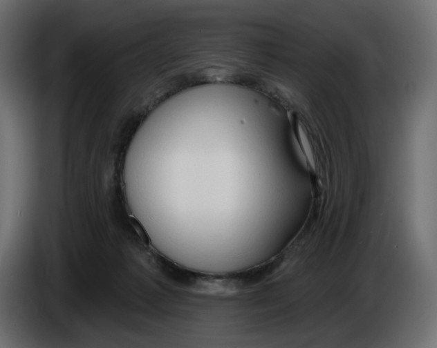 X0000086000221200704131812