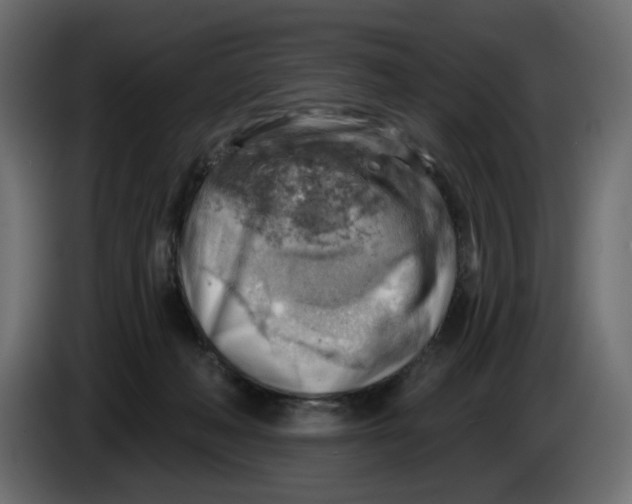 X0000086000222200704131812