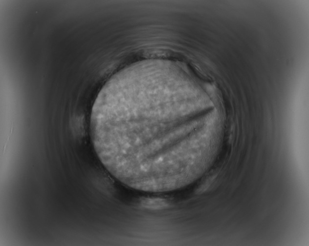 X0000086000224200704131812