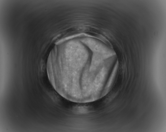 X0000086000228200704131812