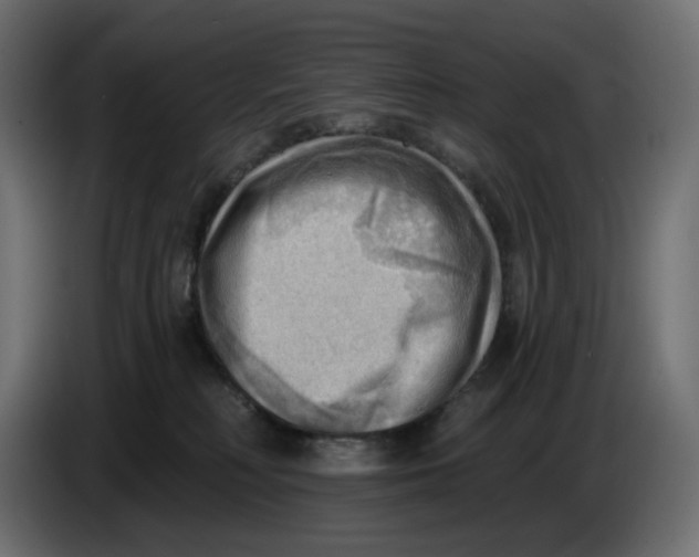 X0000086000230200704131812