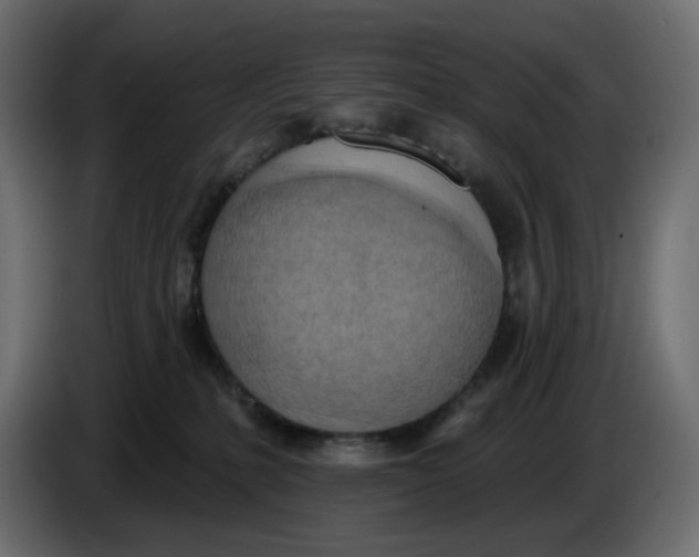 X0000086000231200704131812