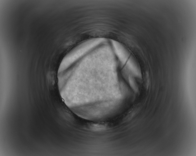 X0000086000232200704131812